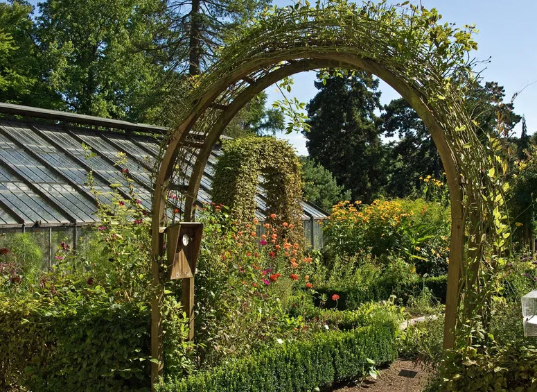 Botanical Garden of University of Bern, Bern, Switzerland, Switzerland